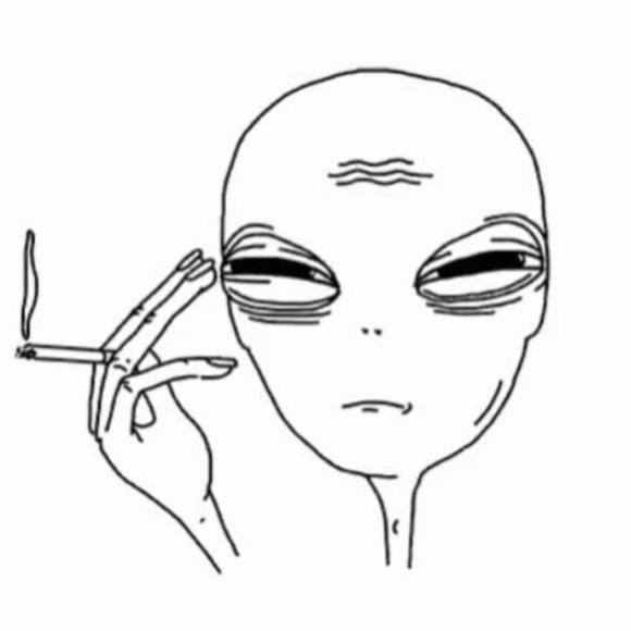 Meet your Posher, Maura! - Picture 3 of 3